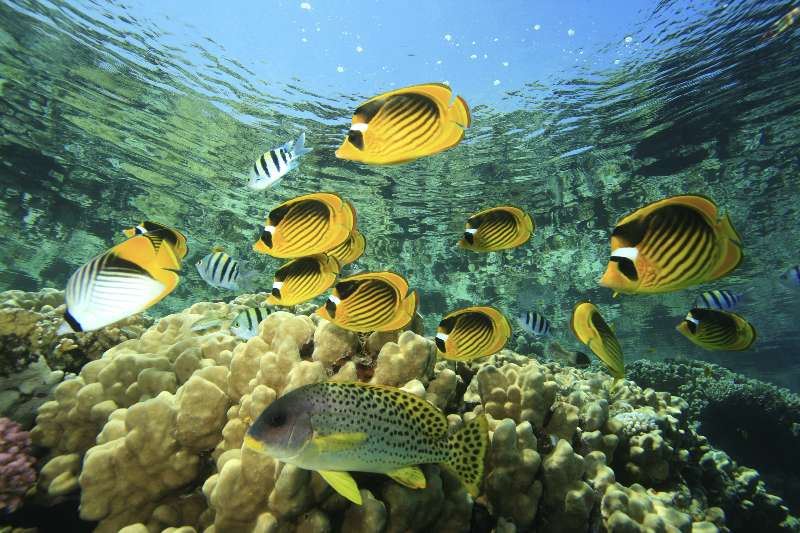 Impresii si Pareri Hoteluri Egipt